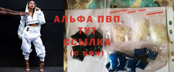 эйфоретик Гусев