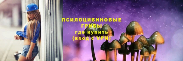 альфа пвп Гусь-Хрустальный