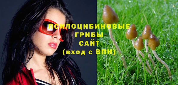 альфа пвп Гусь-Хрустальный
