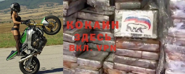 эйфоретик Гусев