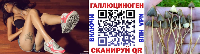 Псилоцибиновые грибы мухоморы  Купить  Коммунар 